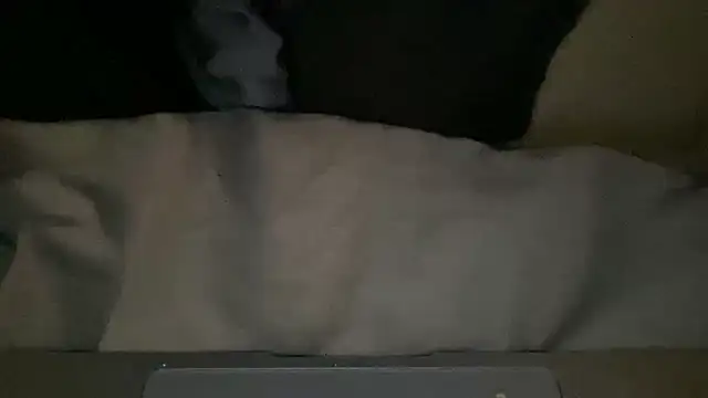 Snapshot of peterpapiNL chatting on March 4, 2026, 7:31 pm peterpapiNL online show from March 4, 2026, 7:31 pm