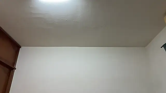 Snapshot of Foxfoxfox4 chatting on February 17, 2026, 3:29 pm Foxfoxfox4 online show from February 17, 2026, 3:29 pm