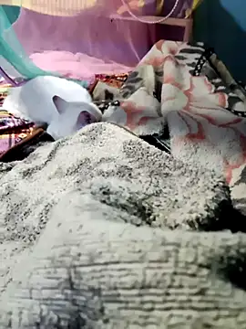 m11a2f3a4z5 online show from February 14, 2026, 11:51 am