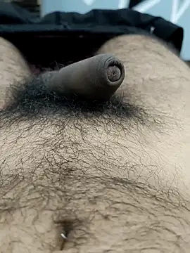 Snapshot of Bull54321 chatting on September 19, 2025, 4:47 am Bull54321 online show from September 19, 2025, 4:47 am