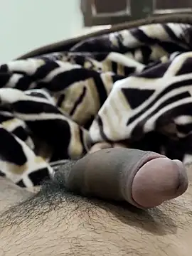 Snapshot of Bull54321 chatting on February 14, 2026, 6:54 am Bull54321 online show from February 14, 2026, 6:54 am