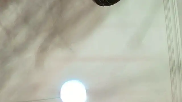 Dixie grey1 online show from September 13, 2025, 1:33 pm