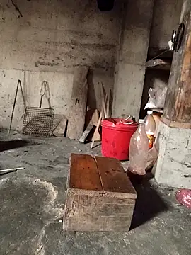 Snapshot of TinTin321 chatting on March 3, 2026, 5:24 am TinTin321 online show from March 3, 2026, 5:24 am