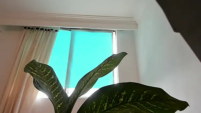 canelleGarces online show from February 10, 2026, 6:01 pm