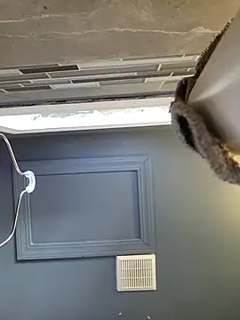 chocolate bella online show from March 28, 2026, 12:49 pm