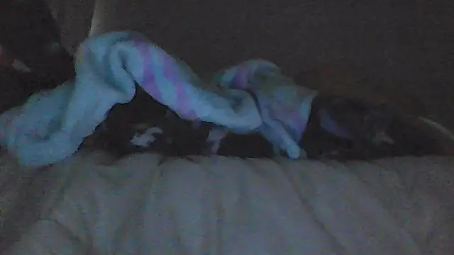 sarahkat86 online show from March 22, 2026, 11:35 am