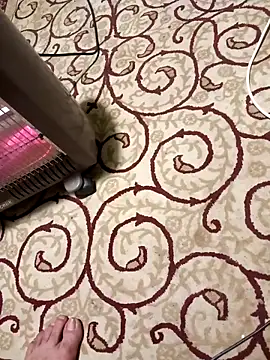 bullut06 online show from April 8, 2026, 5:46 pm