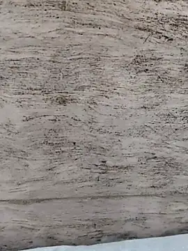 hot plak online show from November 15, 2025, 8:44 am