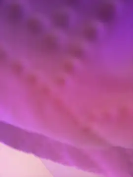 AmberMoss1 online show from November 27, 2025, 8:11 pm