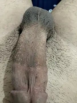 Zepe 12 online show from November 30, 2025, 11:31 pm