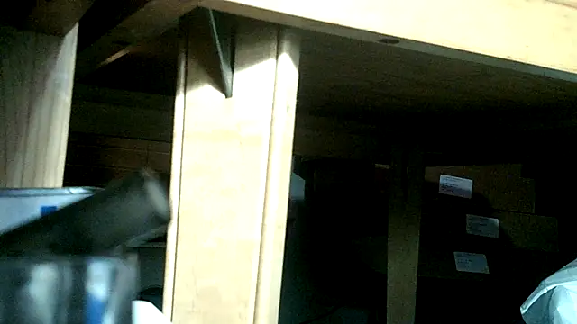 Snapshot of 2playforeplay chatting on November 25, 2025, 3:17 am 2playforeplay online show from November 25, 2025, 3:17 am