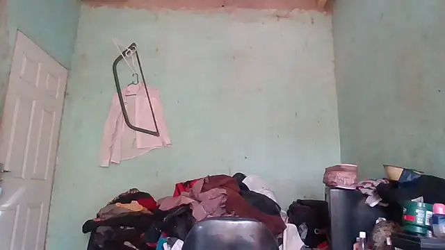 Nicky52 online show from November 12, 2025, 5:52 am