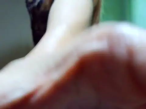 ashley kimxx online show from February 22, 2026, 11:42 am