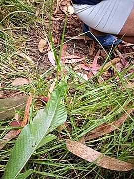 maxvergo online show from April 15, 2026, 9:37 pm