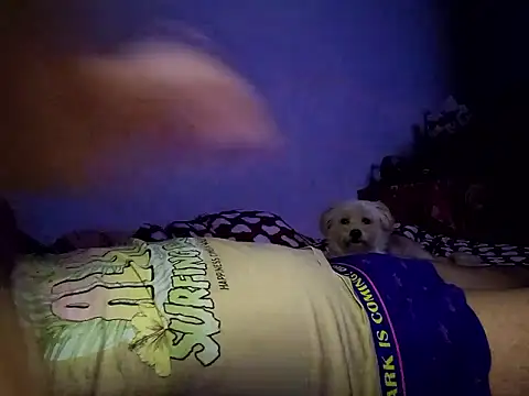 Snapshot of Alexandra23d chatting on October 2, 2025, 9:22 pm Alexandra23d online show from October 2, 2025, 9:22 pm