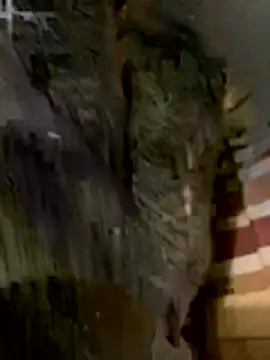 Snapshot of anhye8 chatting on February 8, 2026, 3:37 pm anhye8 online show from February 8, 2026, 3:37 pm