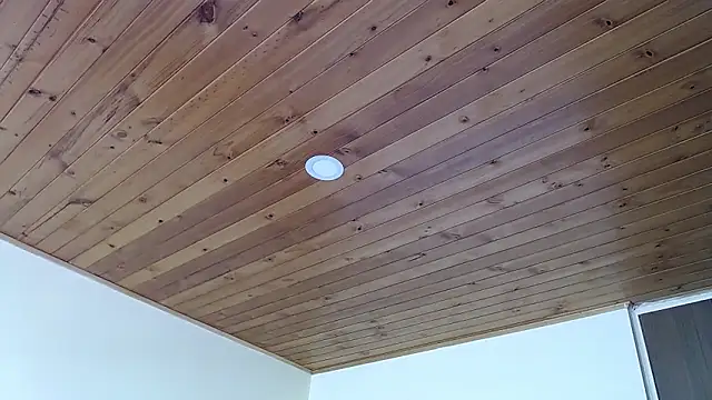 IVONNE COLLINS33 online show from September 21, 2025, 2:19 pm