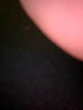 kaylie mitchel online show from February 24, 2026, 10:19 pm