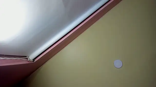 StarletTays online show from November 28, 2025, 9:50 pm