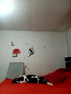 Lady 16 online show from January 6, 2026, 1:53 am