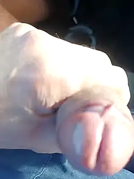 pegaso369 online show from November 27, 2025, 12:40 pm