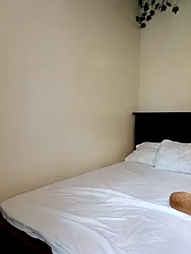 Snapshot of Nedambale chatting on March 11, 2026, 11:38 am Nedambale online show from March 11, 2026, 11:38 am