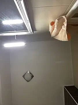 Lexi Storm online show from February 8, 2026, 5:33 am