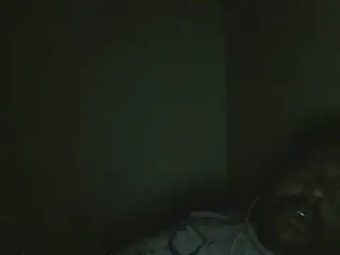 Snapshot of elpoop7305 chatting on March 14, 2026, 8:36 pm elpoop7305 online show from March 14, 2026, 8:36 pm