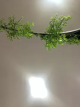 CharlotteBrownn  online show from February 23, 2026, 3:04 am