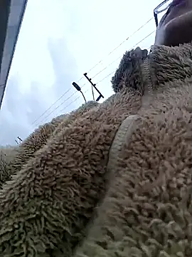 Engeelll online show from March 18, 2026, 6:11 pm