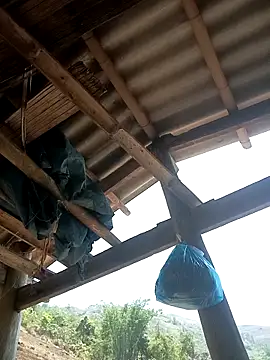 CoMay003 online show from April 12, 2026, 4:50 am