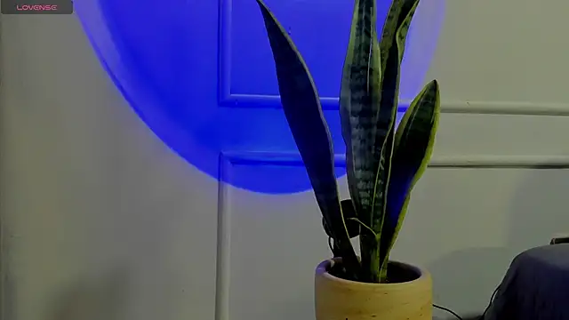 Snapshot of Ice_Princess_ chatting on October 2, 2025, 4:41 am Ice Princess online show from October 2, 2025, 4:41 am