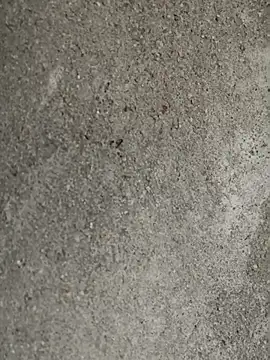 Cute-Swewty online show from September 15, 2025, 3:17 am