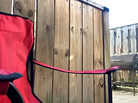 Insurance-03 online show from October 26, 2025, 4:13 pm