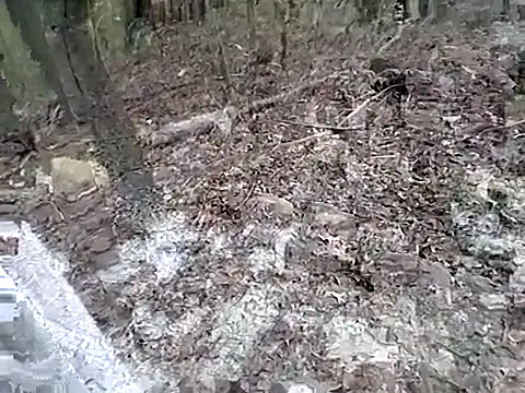 fischnet online show from September 20, 2025, 10:55 pm