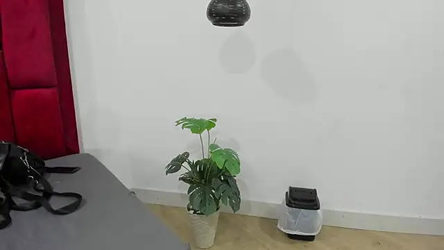 Snapshot of Mollyxketa1_ chatting on October 2, 2025, 11:23 pm Mollyxketa1  online show from October 2, 2025, 11:23 pm