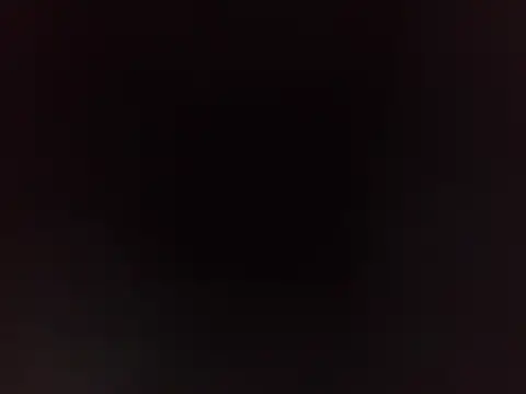 PeludoBrasil online show from March 16, 2026, 4:11 pm