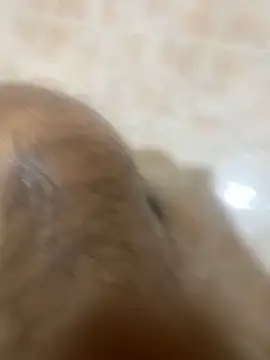 Binuthomas online show from November 24, 2025, 5:01 pm