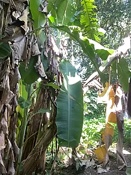 anastasia cums online show from October 17, 2025, 5:54 am