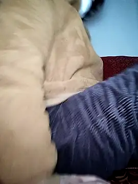 July-Asian online show from January 6, 2026, 10:56 pm