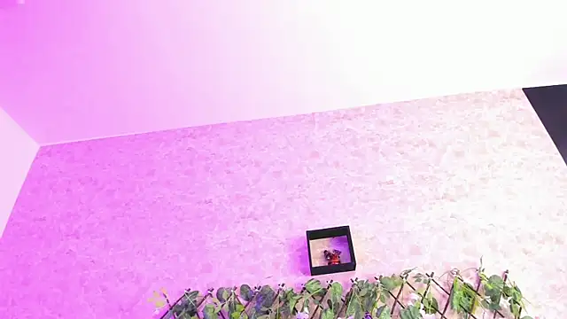 Snapshot of ImEmily444 chatting on October 4, 2025, 7:50 am ImEmily444 online show from October 4, 2025, 7:50 am