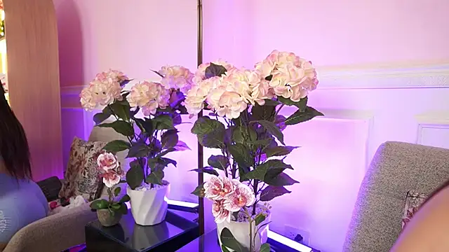 MilaCrave online show from January 13, 2026, 11:37 am