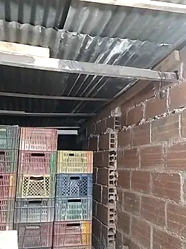 hoteder online show from February 5, 2026, 10:09 am