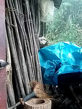 Ruaiuoi online show from March 8, 2026, 12:41 am