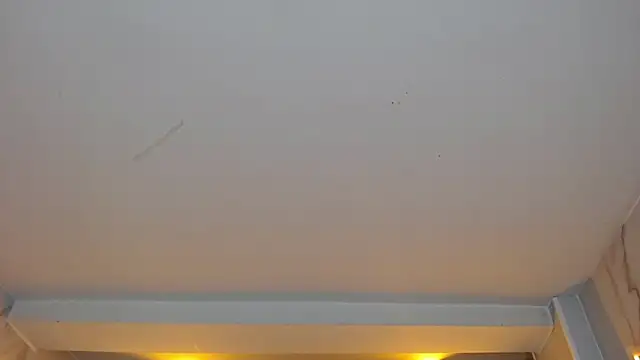 Snapshot of dania_b_ chatting on October 19, 2025, 3:07 am dania b  online show from October 19, 2025, 3:07 am