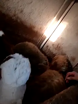 ezgi2545 online show from February 20, 2026, 2:39 pm