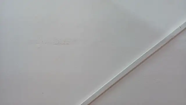 Lizbeth Rouse online show from October 26, 2025, 12:55 pm