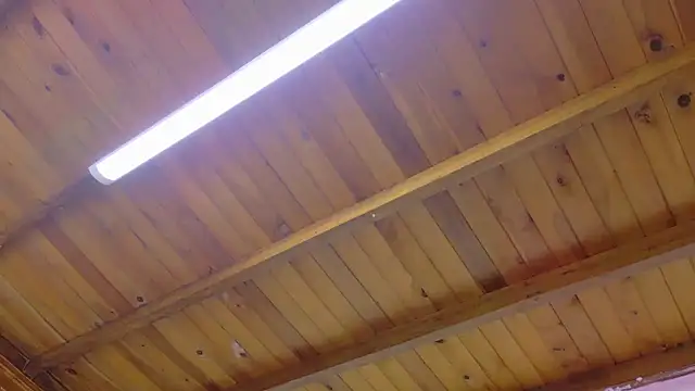 Lizbeth Rouse online show from January 13, 2026, 10:42 am