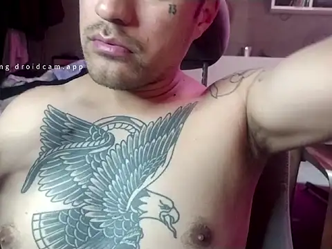 parca13 online show from November 26, 2025, 3:40 am