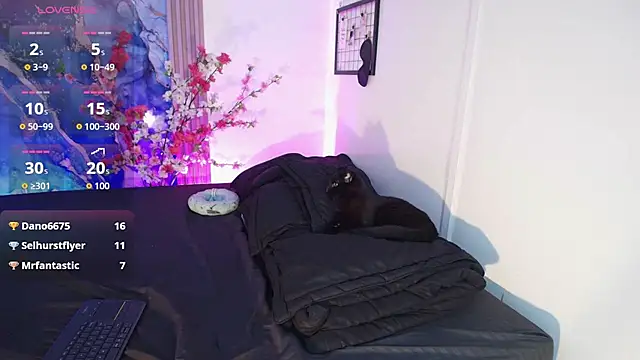 Valkiria 09 online show from December 19, 2025, 3:24 am